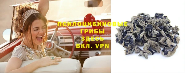 гидропоника Павловск