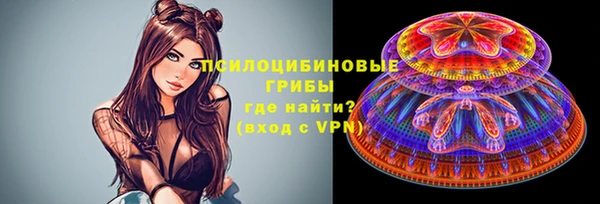 прущие грибы Очёр