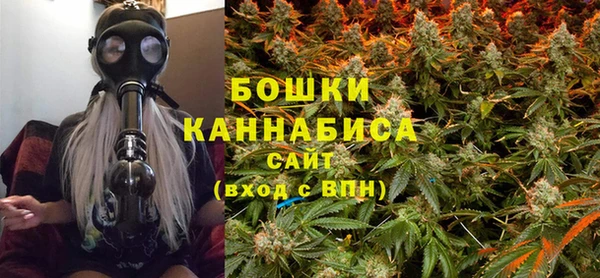 прущие грибы Очёр